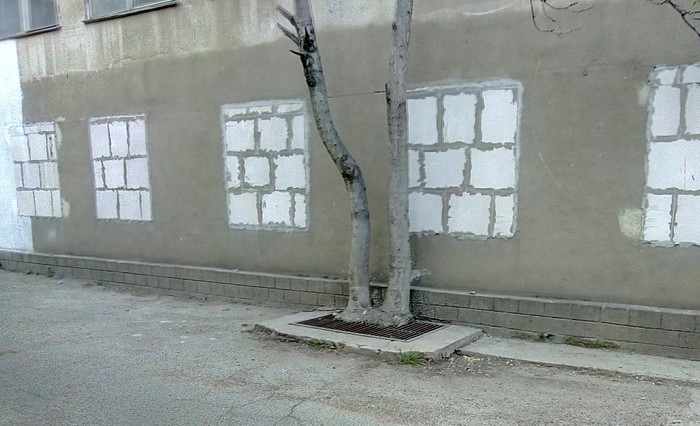   , 