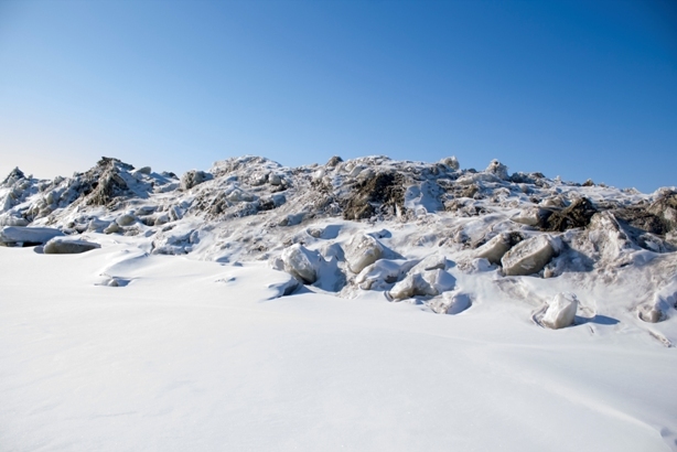 Hummocks of Lake Khanka, Primorsky Krai, Russia. - My, Khanka, Primorsky Krai, Russia, Nature, beauty, Longpost