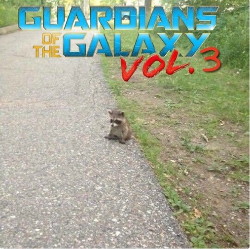 Triquel poster Guardians of the Galaxy - Avengers, Marvel, Guardians of the Galaxy, Spoiler, Raccoon