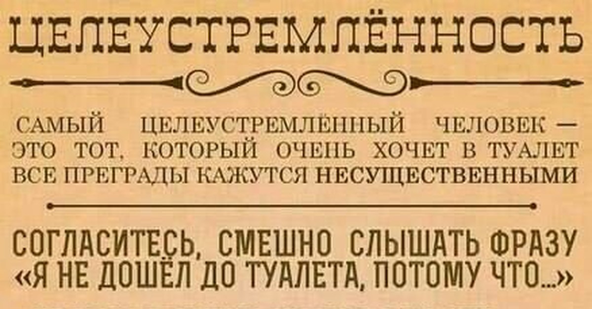 Тот который не может. Цитаты для целеустремленных людей. Афоризмы про целеустремленность. Высказывания про целеустремленных людей. Мотивация когда хочешь в туалет.