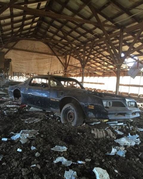 Abandoned legendary retro cars - Car, Retro car, Retro, beauty, Longpost