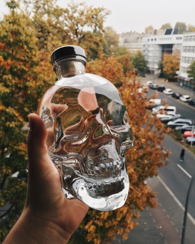 Oh, poor Yorick! - Bottle, Scull, William Shakespeare, , Hamlet, From the network