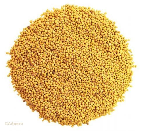 Mustard - types and uses - Food, Recipe, Cooking, Spices, Mustard, reference, Directory, Longpost