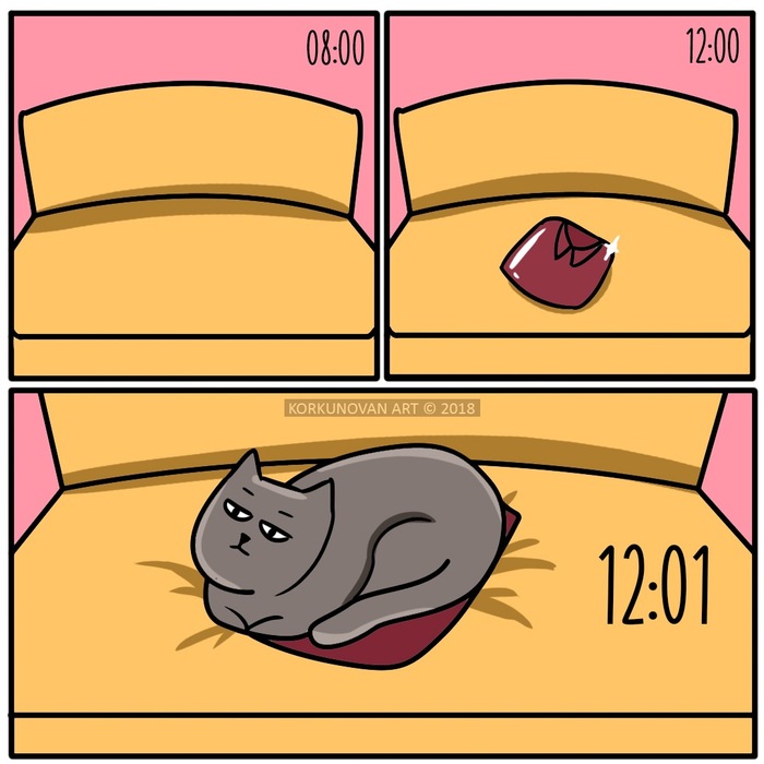 When I just put it down, but didn't have time to put it on - My, cat, Digital drawing, Comics, Clean clothes, Korkunovan