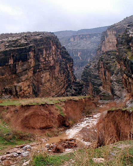 Koytendag Nature Reserve preserves the wonders of Turkmen nature - Turkmenistan, The mountains, Dinosaurs, Reserves and sanctuaries, Longpost