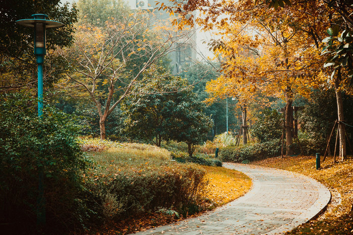 Courtyards in Hangzhou, China. - My, , China, Hangzhou, Autumn, The photo