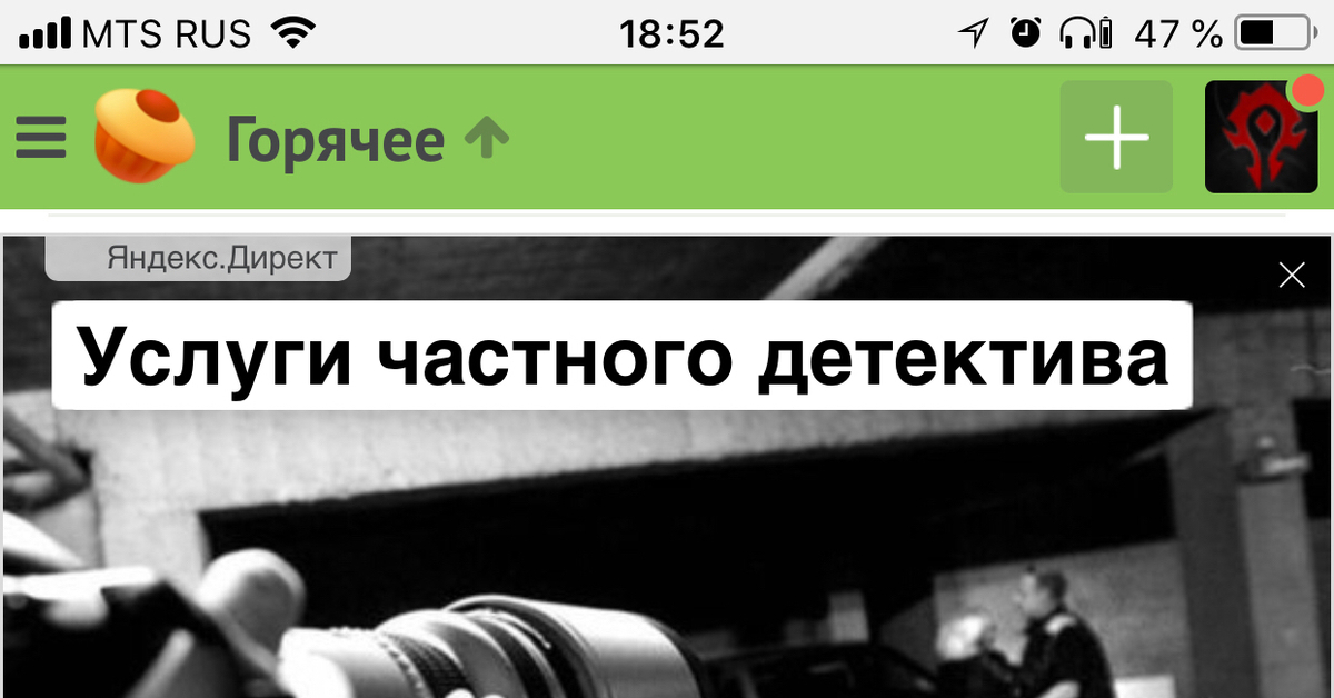 Большой брат следит за тобой | Пикабу