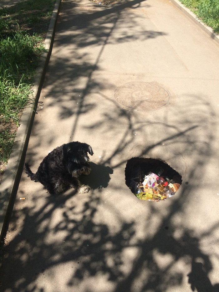 ������ ������ ��� ��������� �������. ���, ������������������, �������, ��������� �������, �������, ���������� ����������, ������������, ����������