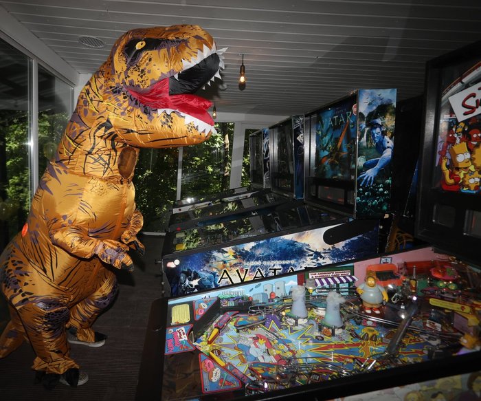      ,  , Gopinball, 