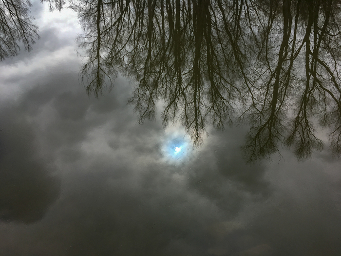 The rays of the sun in the dark kingdom - Beginning photographer, Reflection, My, Photo on sneaker