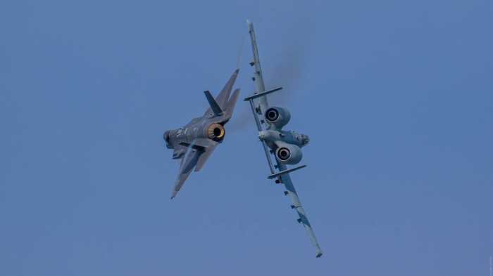 Молния и бородавочник - Моё, a-10, f-35, Самолет, Авиашоу, Eaa, Airventure