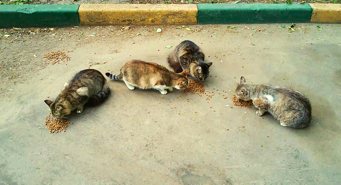 ������ ����� �� �����... �, ���, �� ������