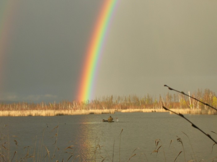 Every hunter wants to know where the pheasant sits. - My, Hunting, Rainbow, Yakutia, May, The photo