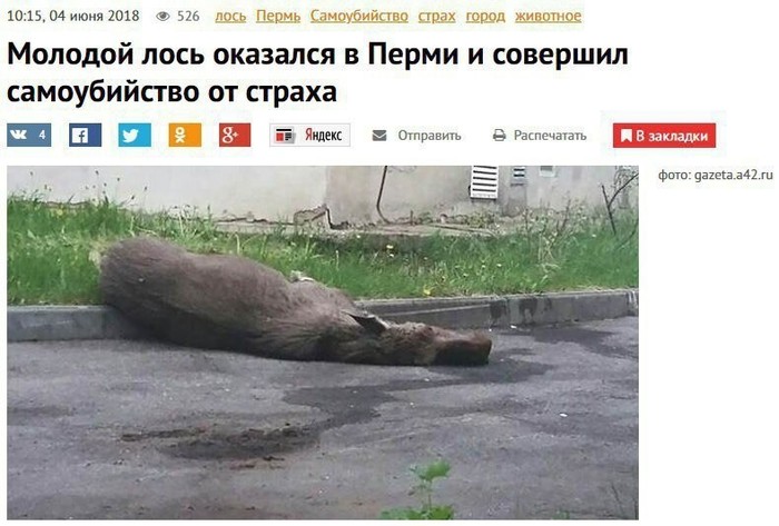 Немного приуныл