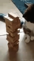 Дженга с котом? Почему бы и нет?