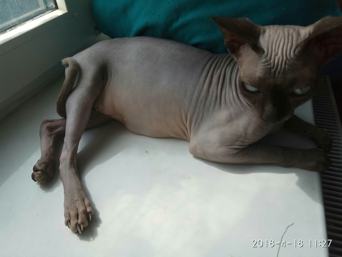 Доброе утро!