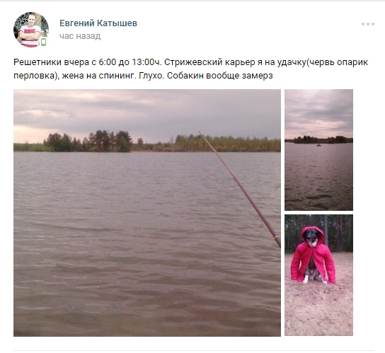 The dog is completely frozen. - Dog, Fishing, Cold, Longpost, 