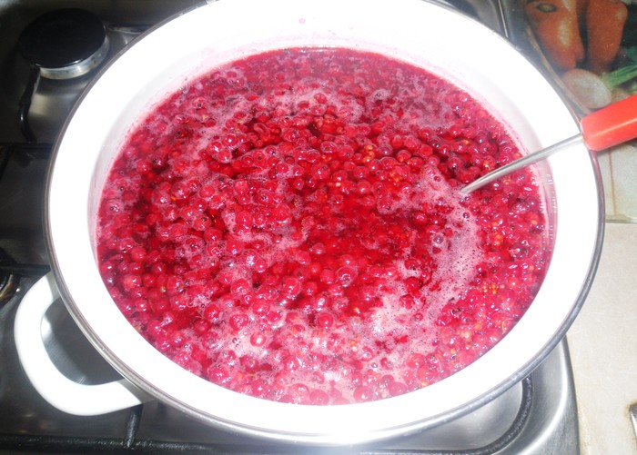 Red currant jelly - My, Recipe, Video recipe, , Blanks, , Video