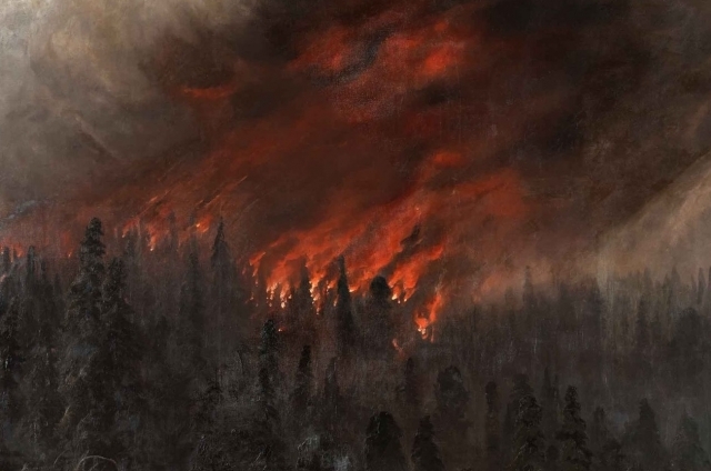 In the Krasnoyarsk Territory, it was decided not to extinguish some forest fires in order to save - Society, Russia, Krasnoyarsk region, Fire, Forest, Is burning, Saving, Interfax