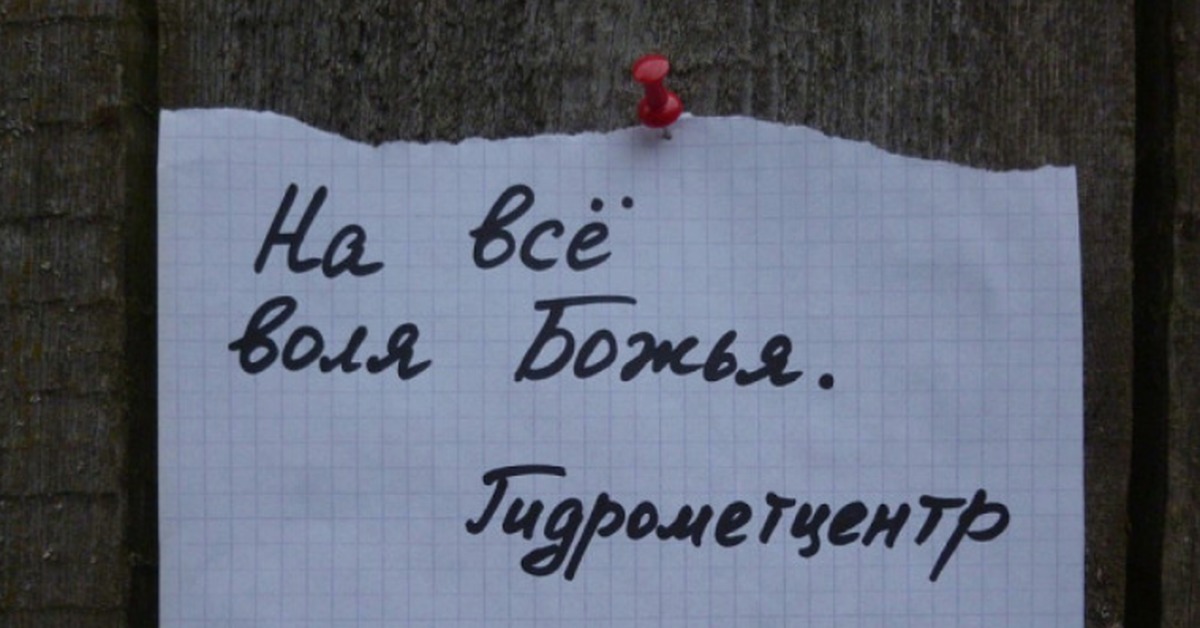 Самый точный прогноз погоды | Пикабу