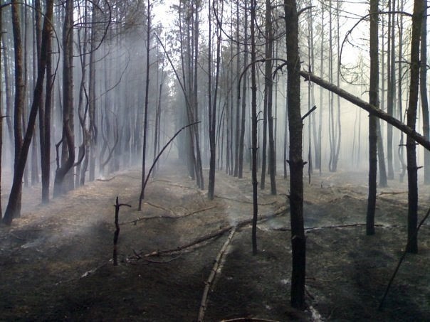 Воронеж Лето 2010 - Моё, Пожар, Лето, Лето2010, Воронеж, Длиннопост