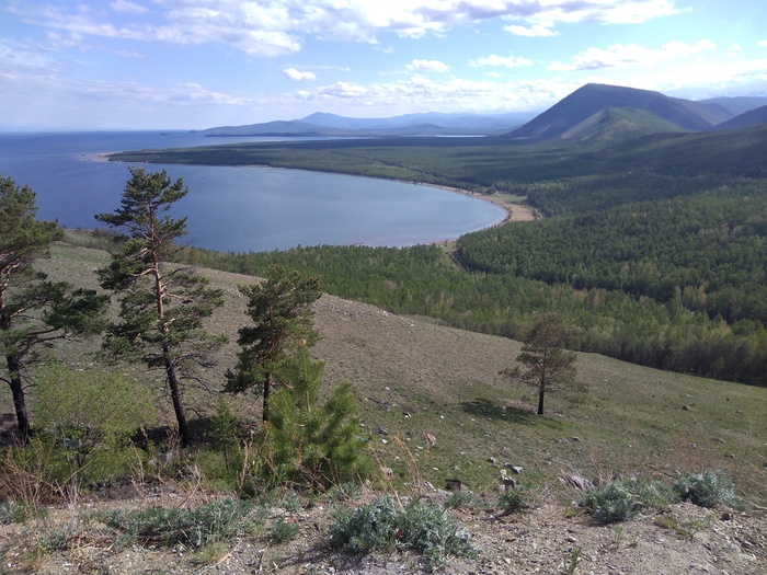 Lapota ... - My, beauty, Baikal, Buryatia