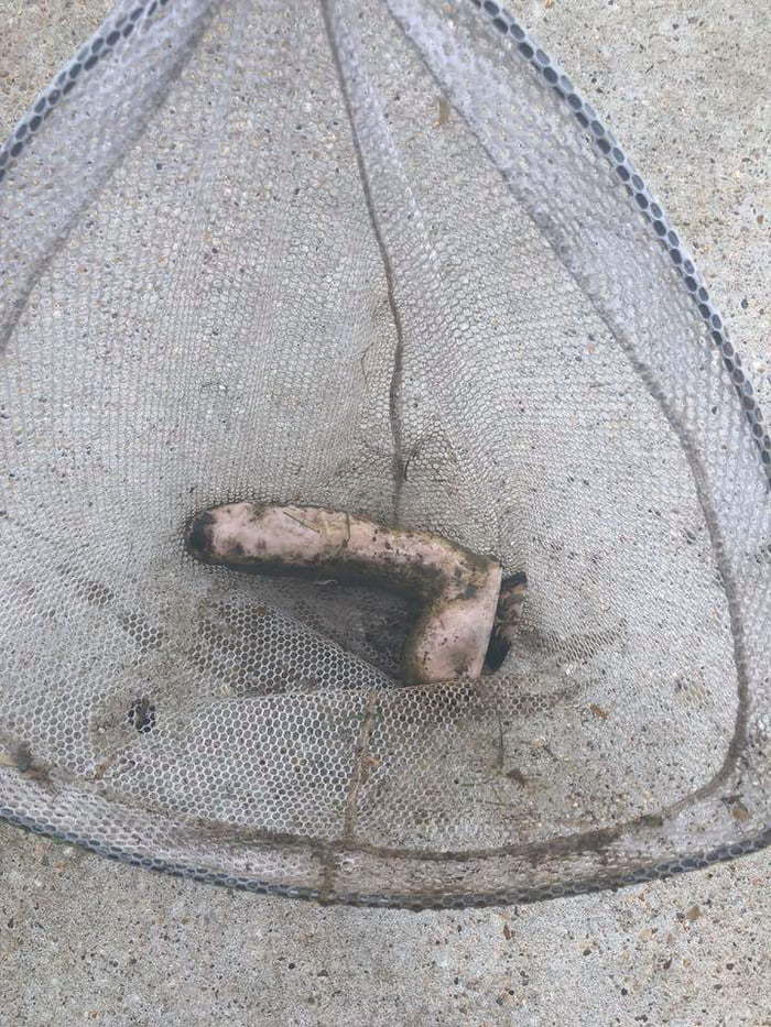 I took my 5 year old daughter fishing for Father's Day and she caught this - The photo, Fishing, Catch, Dildo, Penis, Surprise, 9GAG