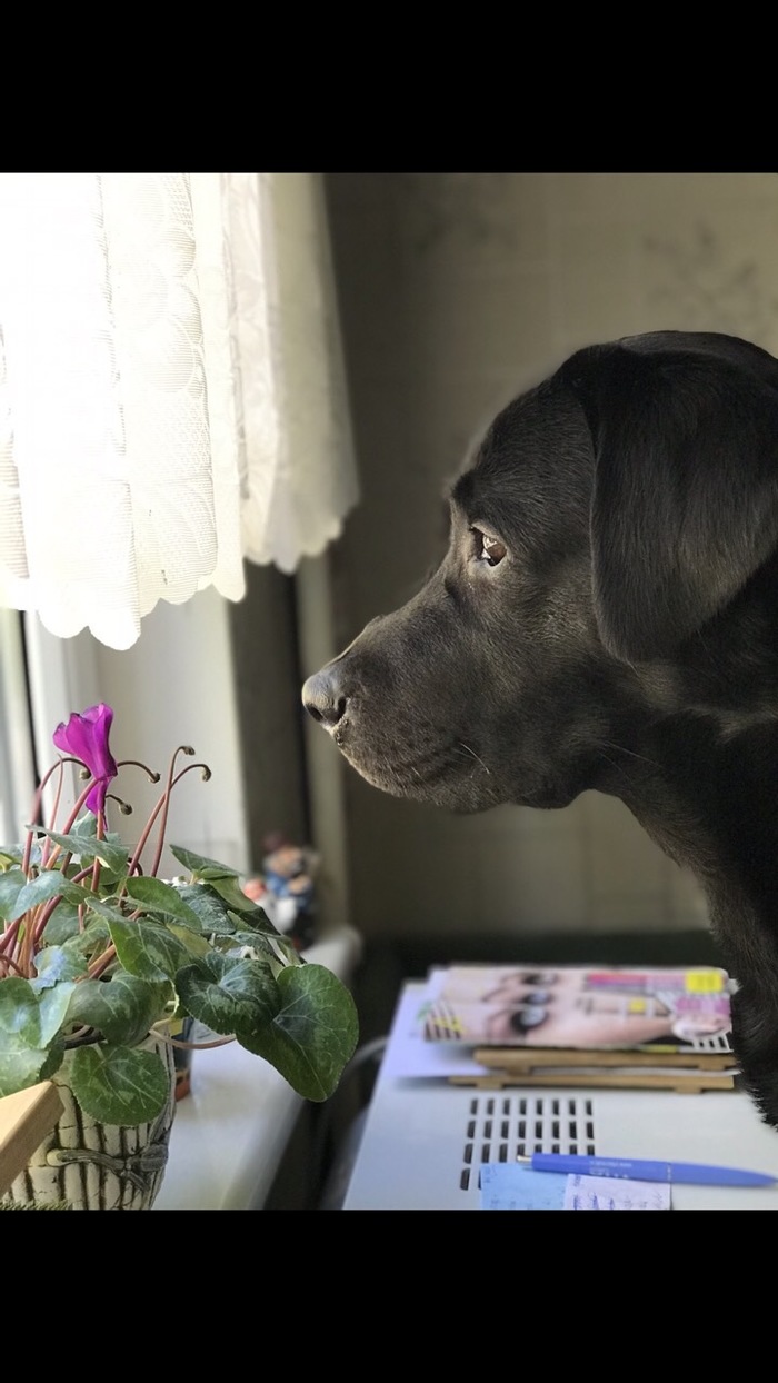 �������� ������ ������ ������, ��������� �������� �� �����������