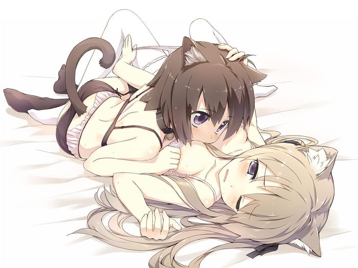 Anime Art by amagai tarou - NSFW, Anime art, Anime original, Anime, Neko, Yuri, Amagai tarou