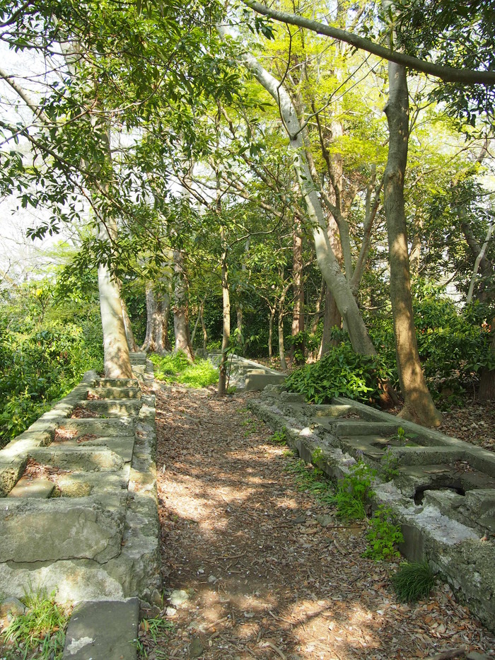 Сакура - город самураев Япония, Путешествия, Длиннопост