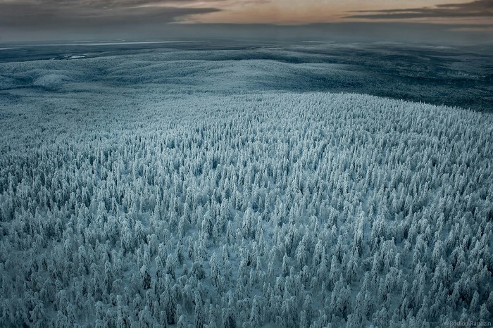 Endless forests of Krasnovishersk - My, Ural, Russia, Nature, Winter, The national geographic, The photo, Permian, Nature photo