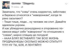 Почему жаворонки иногда дятлы? - Сова, Моё, Мат, Юмор, Злость, Жаворонки