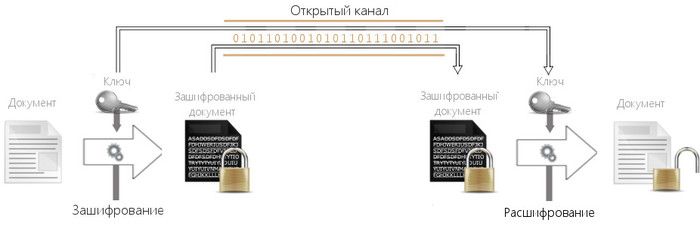 Пирог из говядины и шпината рецепт – основные блюда. « картинки Пирог из говядины и шпината рецепт – основные блюда. « картинки