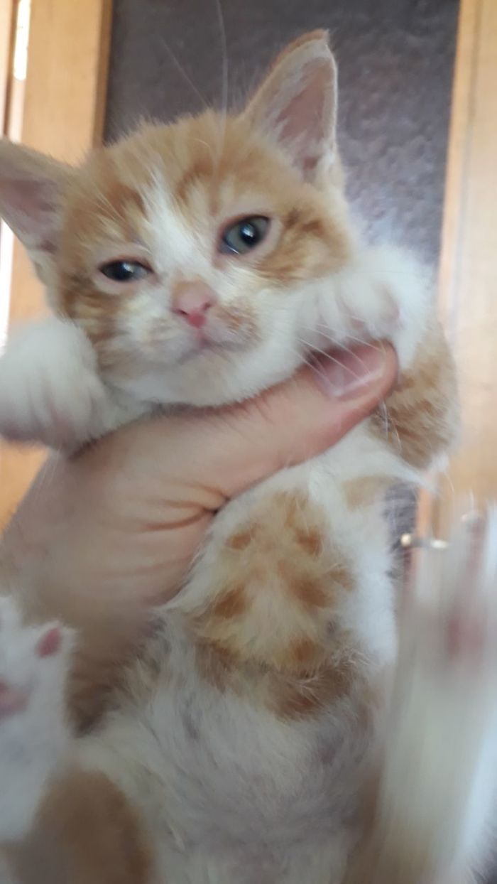 ��� ������� ������ ���������� ������