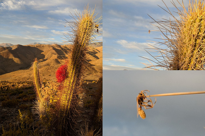 Жуткое самоубийство
