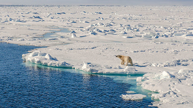 Scientists predicted a climate catastrophe in Russia - The science, Scientists, Climate, Weather, Arctic, Warming, Tvzvezdaru, Research