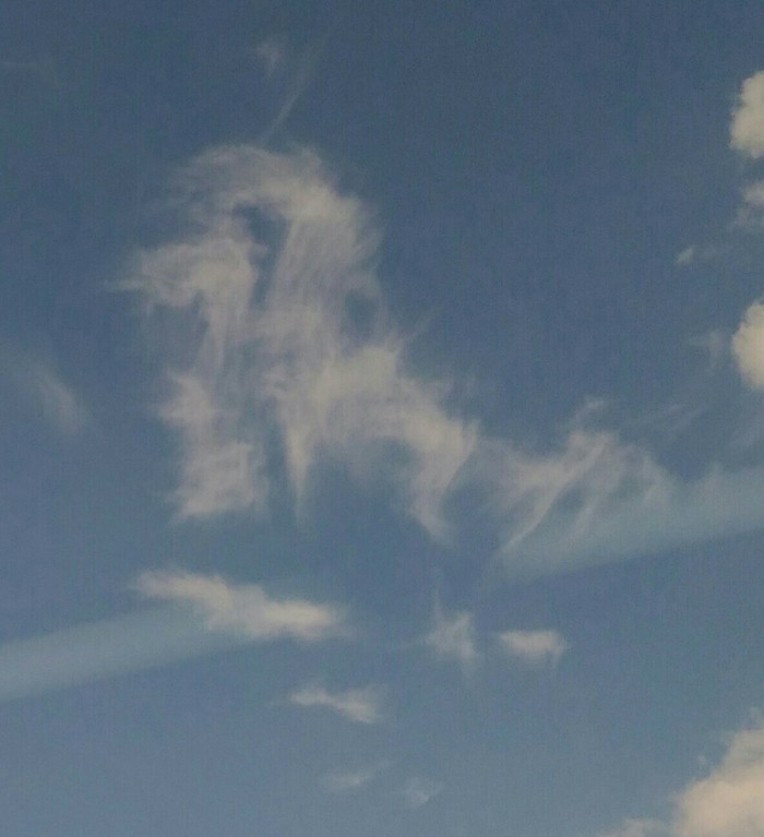 Dog - My, Clouds, The photo, Silhouette, Dog, Longpost