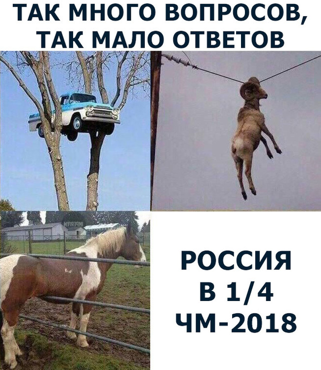 Почему мало ответов. Так много вопросов и мало ответов. Так много вопросов. Много вопросов мало ответов. Так много вопросов и так мало.