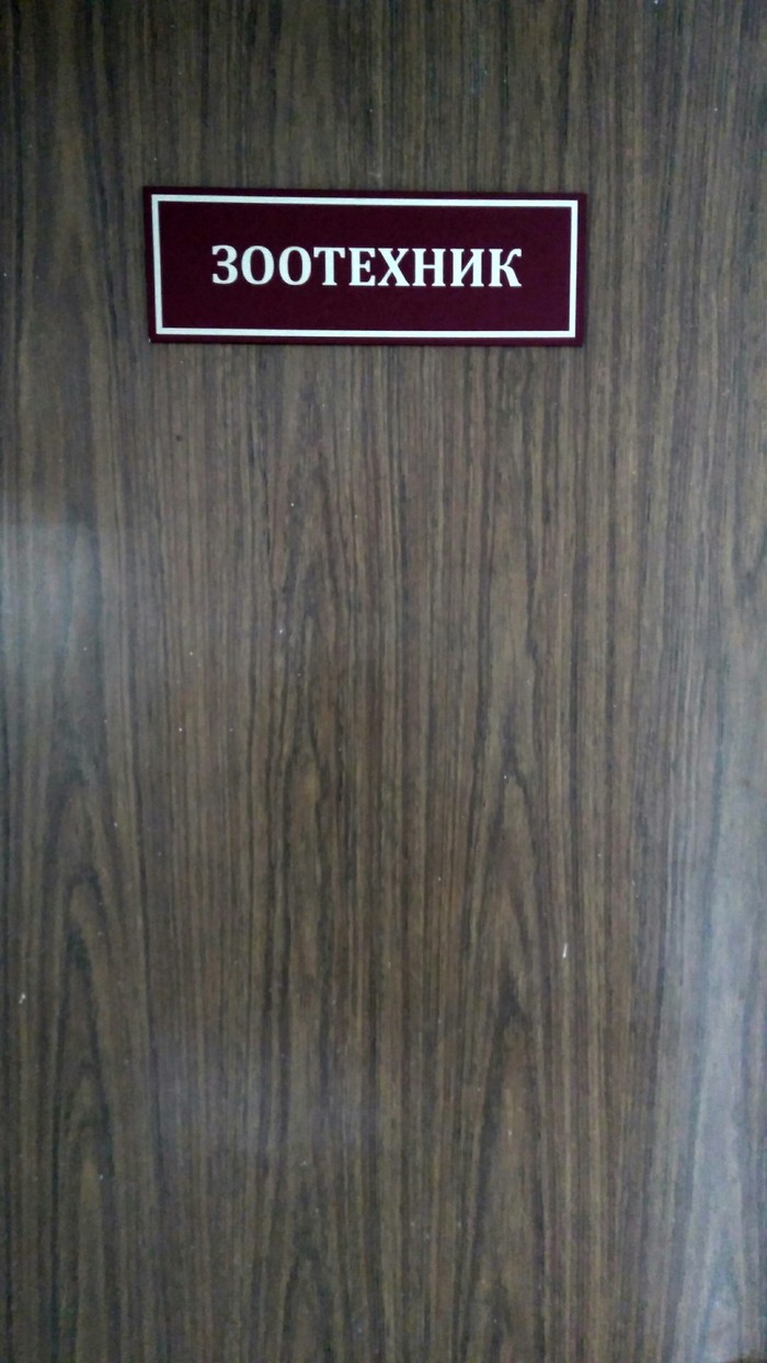 Ай Петри Феодосия, Здание, Разрушение, Заброшенное, Фотография, Длиннопост