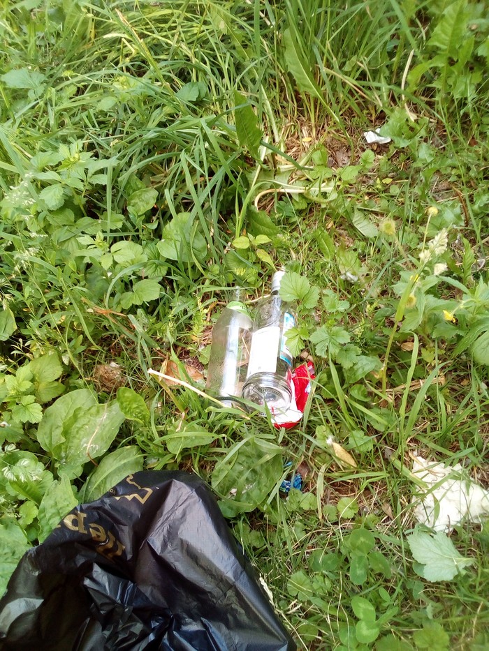 Мы все так делаем? Или нет? Мусор, Длиннопост, Двор, Бутылка, Свинство