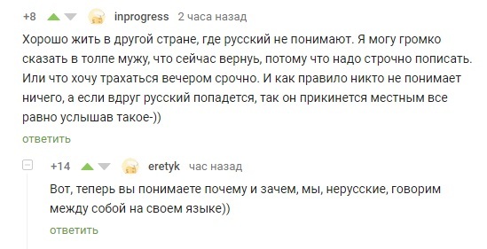 Когда говорят на другом языке - Скриншот, Комментарии на Пикабу, Иностранцы, Языковой барьер