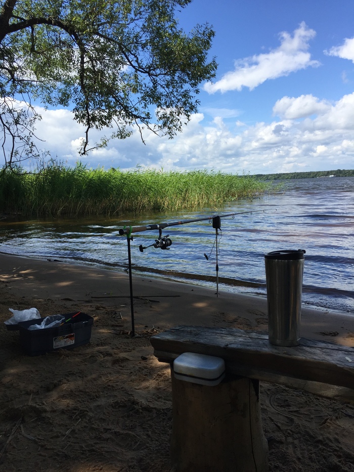 Beautiful photos from fishing on Muraviyy Island, Kalyazinsky district, Tver region. - My, Fishing, Volga river, Camping, A fish, Longpost