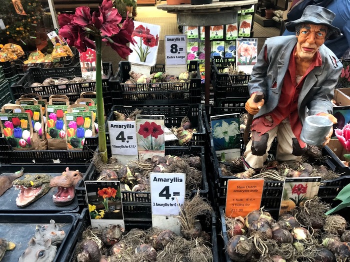 Цветочный рынок (Bloemenmarkt) в Амстердаме Амстердам, Нидерланды, Тюльпаны, Луковицы, Цветы, Рынок, Bloemenmarkt, Цветочный рынок, длиннопост