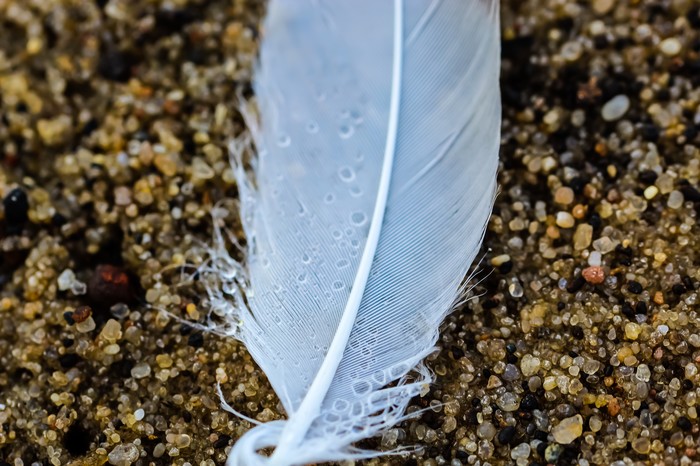 Мир под ногами фотография, длиннопост, Природа