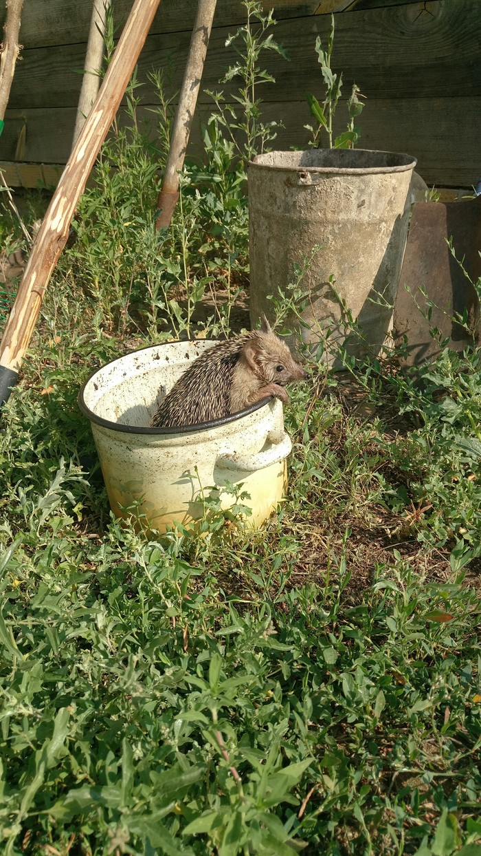 ��������� ��������