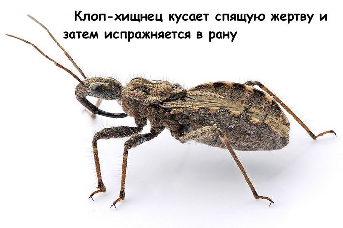  , , 