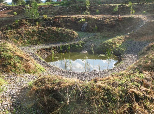 Khabarovsk farmer is suing Rosselkhoznadzor over his land - Farmer, Rosselkhoznadzor, Negative, Court, Longpost, Injustice