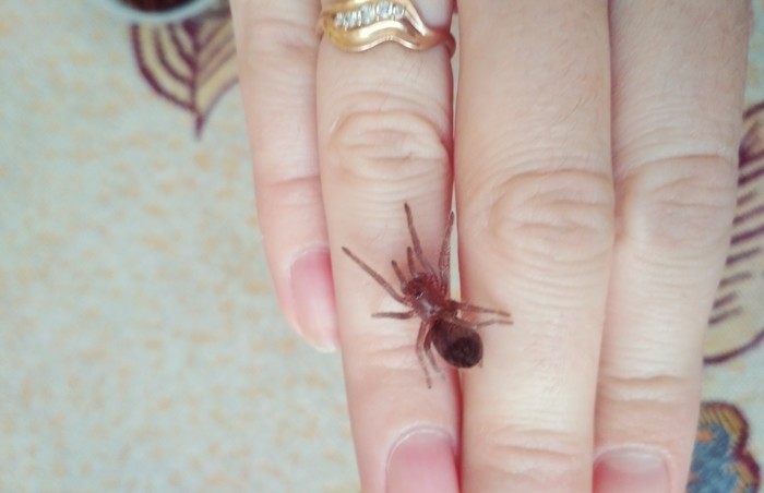 ���������� ���������!