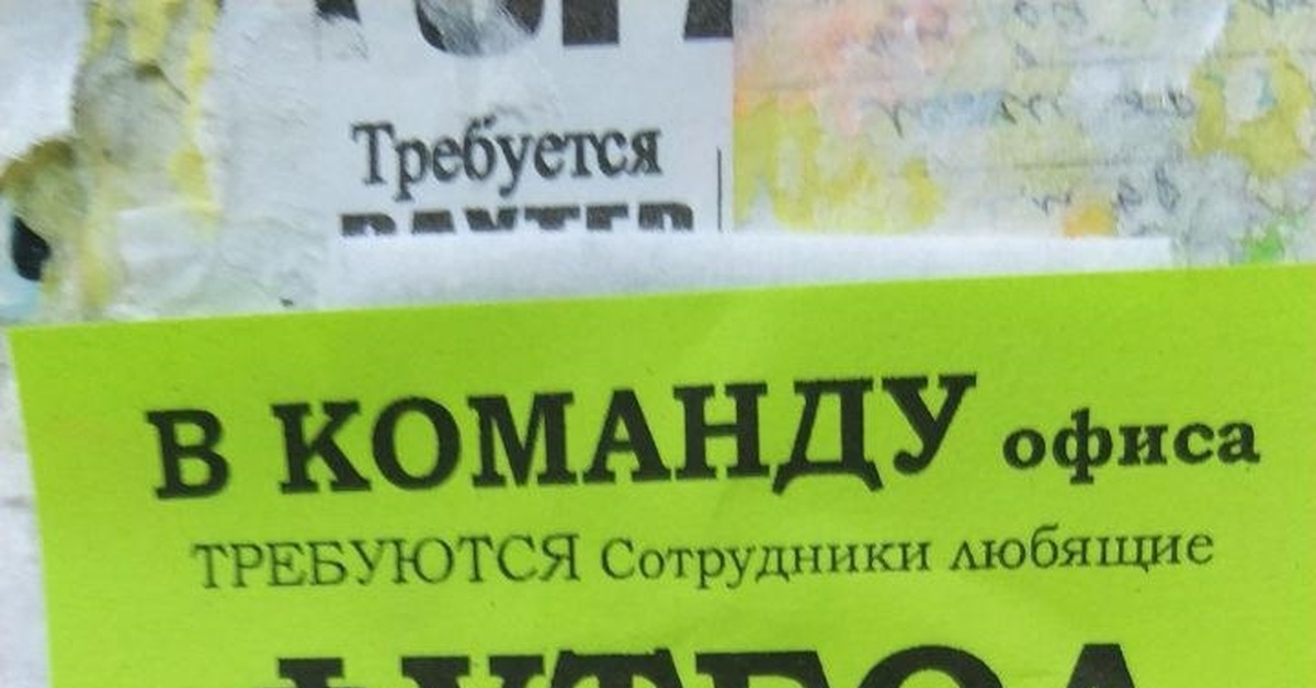 Лучшее объявление о найме на работу | Пикабу