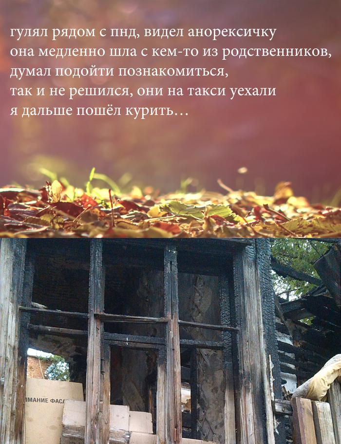 Как я упустил девушку, хотя она меня видела, её руки я не забуду - Анорексия, Реальная история из жизни, История, Листва, Картинка с текстом